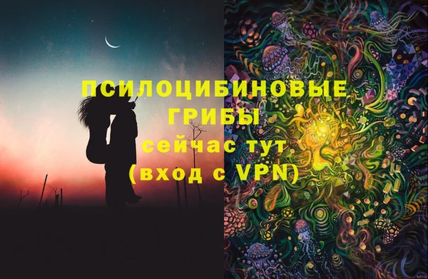 шишки Новозыбков